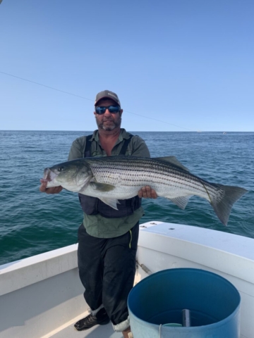 Man holding enormous striped bass