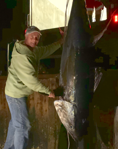 Large bluefin tuna hanging to be weighed