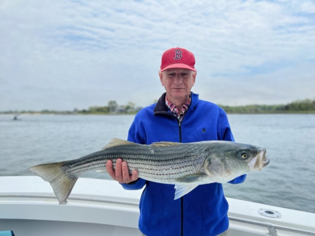 Older man with striped bass