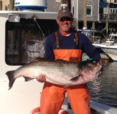 Captain on deck holding very large striped bass