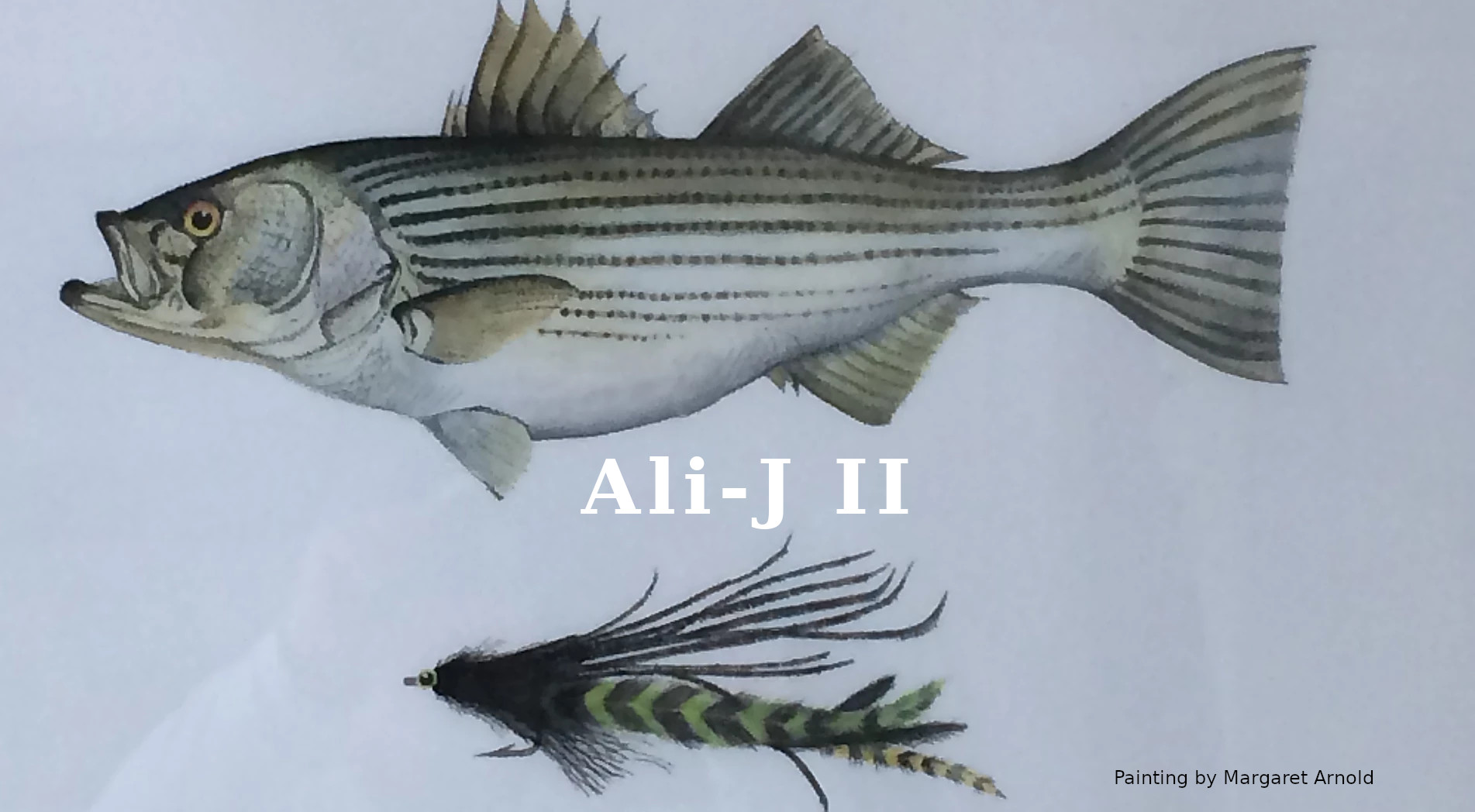 Striped bass painting by Margaret Arnold