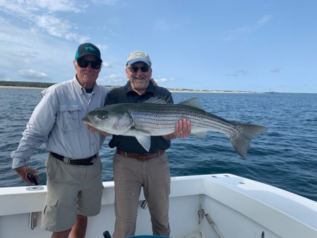 Two men holding striped bass