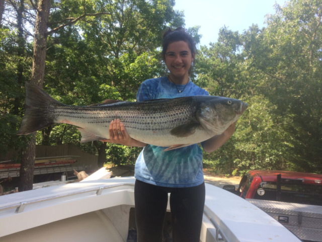 Huge-striped-bass-Ali-J