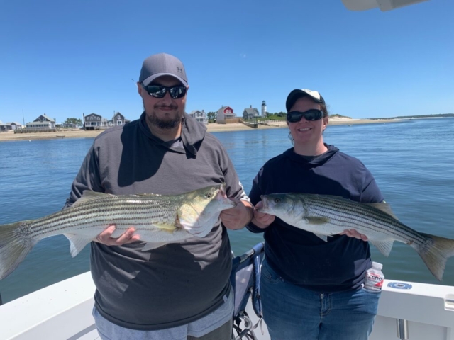 Smiling couple holding large striped bass