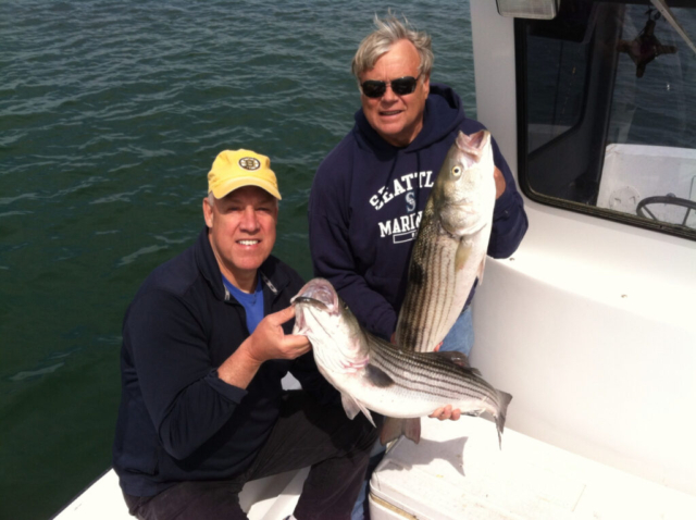 Two fishermen holding up their catch of striped bass