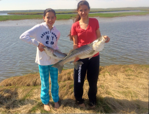 Two girls on land, marsh in background, holding up their catch of striped bass